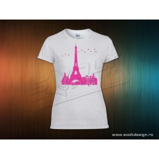 Paris, Eiffel si orasul